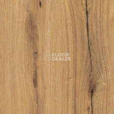 Parador Basic Plus 400 1744348 Дуб Chronicle Basic фото 2 | FLOORDEALER