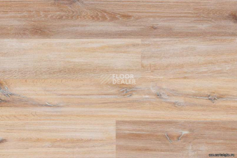 Wood Xl замковое Oak Gekalte New фото 5 | FLOORDEALER