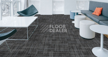 Standard Carpets Casini Casini 579 фото 2 | FLOORDEALER