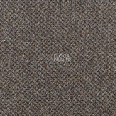 Ковролин Carpet Concept Goi 1 2807 фото 1 | FLOORDEALER