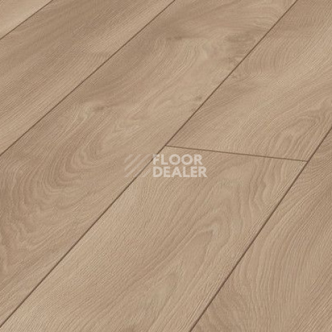 Ламинат Kronotex Mammut Plus d4752 Дуб Светлый Марко фото 1 | FLOORDEALER
