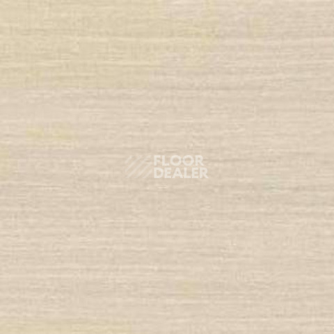 Плинтус Dollken EP 60/13 2986 фото 2 | FLOORDEALER