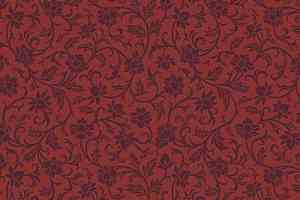 Ковролин Agnella Creation Maki Coral фото  | FLOORDEALER