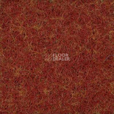 Ковролин Finett 80 33 фото 1 | FLOORDEALER