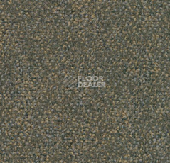 Ковровая плитка Forbo Tessera Ethos 553 фото 1 | FLOORDEALER
