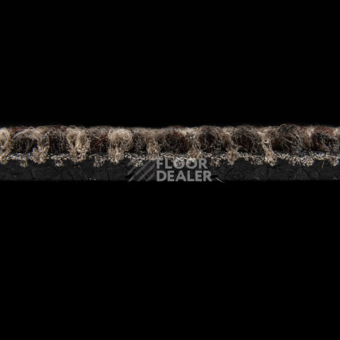 Escom Coral 5411 фото 4 | FLOORDEALER