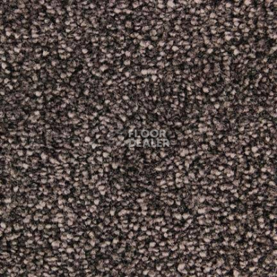 Ковролин Edel Bellezza 283 фото 1 | FLOORDEALER