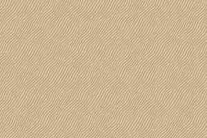 Ковролин Agnella Natural Koni Beige фото  | FLOORDEALER