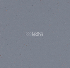Линолеум Forbo Marmoleum Solid Cocoa 3586 indigo milk фото 1 | FLOORDEALER