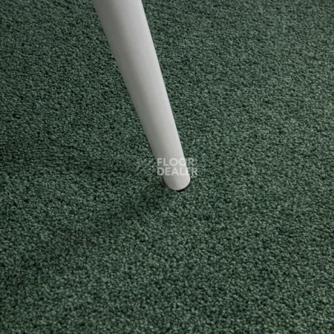 Haima Noble 71 фото 4 | FLOORDEALER