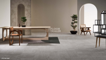 Desso AirMaster Reflection ac 58 9850 фото 3 | FLOORDEALER