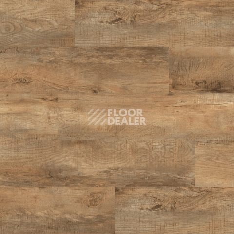 Moduleo Roots 0.55 EIR дерево COUNTRY OAK 54852Q фото 2 | FLOORDEALER