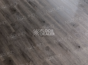 Norland Sigrid  LVT 2мм Baggy 1003-7 фото 2 | FLOORDEALER