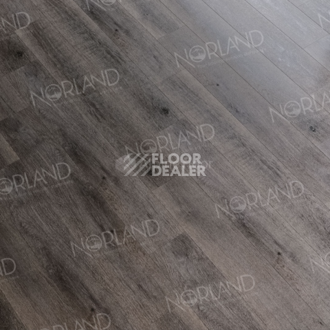 Norland Sigrid  LVT 2мм Baggy 1003-7 фото 2 | FLOORDEALER