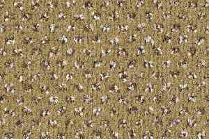Ковровая плитка Balsan Impression 625 фото  | FLOORDEALER