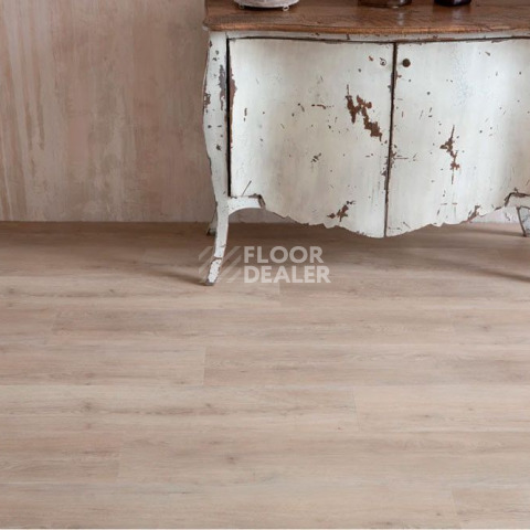 Vinilpol Glue 2мм 8844 EIR ДУБ МИРА фото 6 | FLOORDEALER
