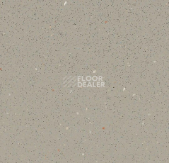 Линолеум Forbo SafeStep R11 174232 fossil фото 1 | FLOORDEALER