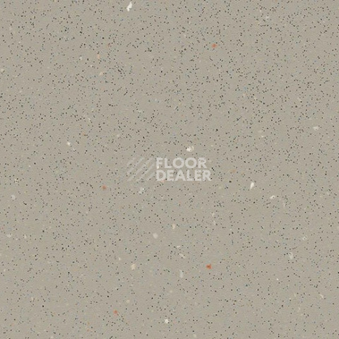Линолеум Forbo SafeStep R11 174232 fossil фото 1 | FLOORDEALER