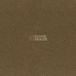 Ковролин Desso Asteranne 2934 фото 1 | FLOORDEALER