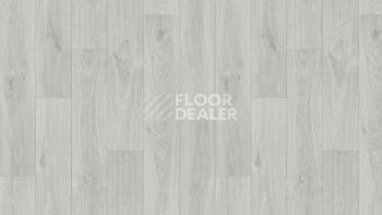 Линолеум Tarkett Gladiator Muskat 9 фото 1 | FLOORDEALER