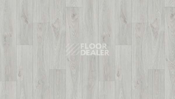 Линолеум Tarkett Gladiator Muskat 9 фото 1 | FLOORDEALER