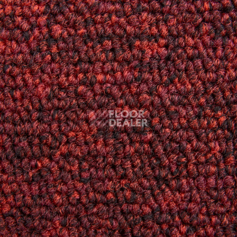 AW Medusa / Медуза 11 фото 4 | FLOORDEALER
