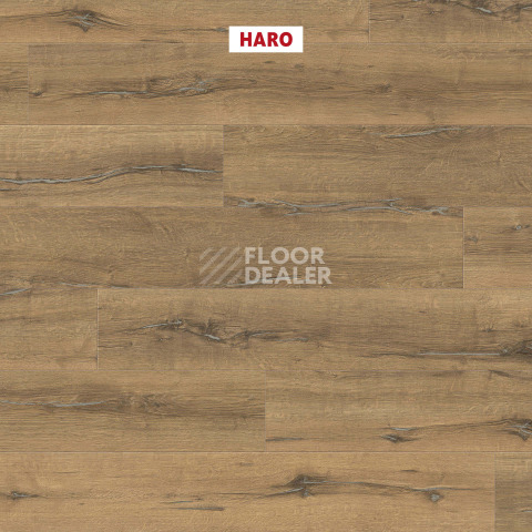 Haro Tritty 200 Aqua 4V Дуб Металлик Натур 544775 фото 2 | FLOORDEALER