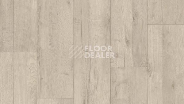 Линолеум Tarkett ENERGY Holly 1 фото 1 | FLOORDEALER