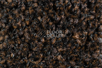 Forbo Coral Bright 2606 Fine Peat фото 2 | FLOORDEALER
