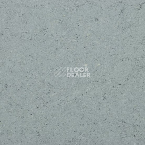 Линолеум Gerflor Marmorette DLW 2.5mm 0055 Ash Grey фото 1 | FLOORDEALER