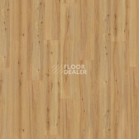 Kronotex Exquisit Plus d80052 Дуб Аризона фото 3 | FLOORDEALER