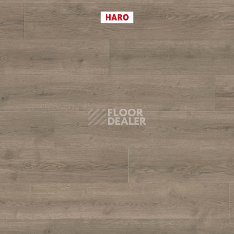 Haro Tritty 90 Дуб Бари Серый 544678 фото 2 | FLOORDEALER