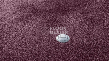 Ковролин Vorwerk Superior 1064/Lyrica Vorwerk 1n42 фото 1 | FLOORDEALER
