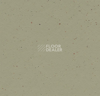 Линолеум Forbo Marmoleum Solid Cocoa 3593 matcha фото 1 | FLOORDEALER
