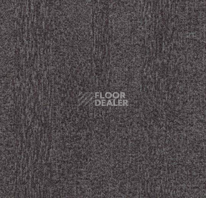 Ковровая плитка Forbo Flotex Colour Penang 50*50 t 382037 Penang Grey фото 1 | FLOORDEALER