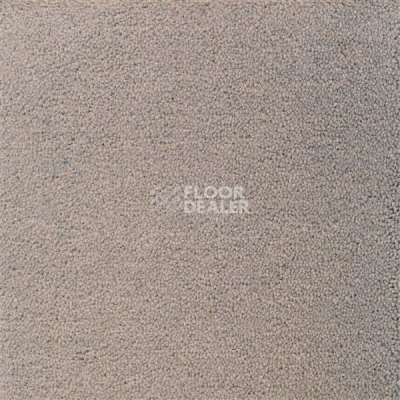 Ковролин Sintelon Eden 10230 фото 1 | FLOORDEALER
