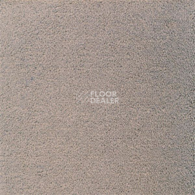Ковролин Sintelon Eden 10230 фото 1 | FLOORDEALER