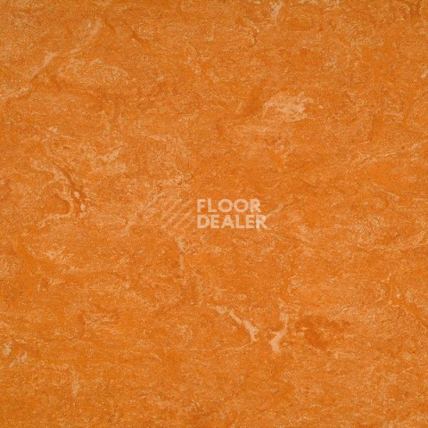 Линолеум Gerflor Marmorette Acoustic DLW 121-073 фото 1 | FLOORDEALER