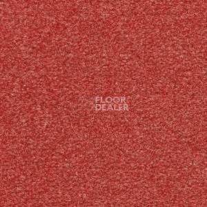 Ковролин Radici Montecarlo 61 фото 1 | FLOORDEALER