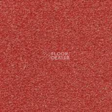 Ковролин Radici Montecarlo 61 фото 1 | FLOORDEALER