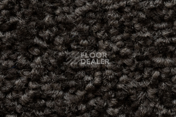 Balsan Serenite 770 фото 4 | FLOORDEALER