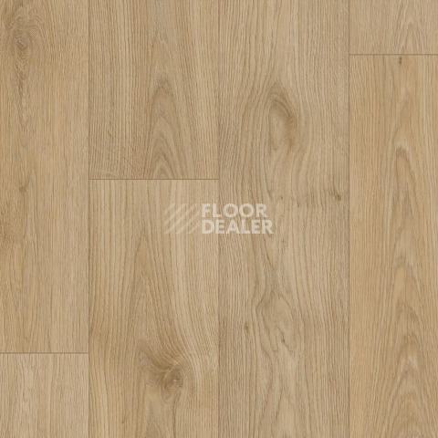 Линолеум Tarkett Craft Tomas 5 фото 1 | FLOORDEALER