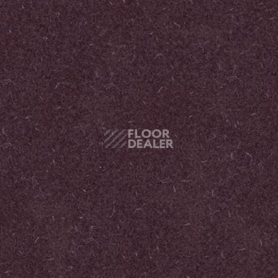 Линолеум Grabo Silver Knight Acoustic 7 455_883-5068 фото 1 | FLOORDEALER