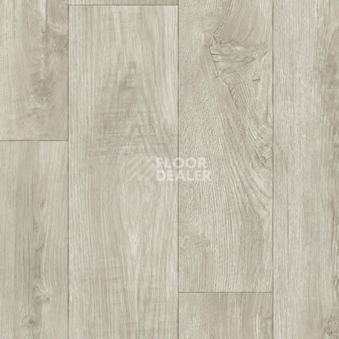 Линолеум Tarkett Gladiator DIAKIRI 1 фото 1 | FLOORDEALER