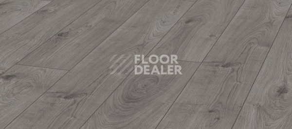 Ламинат Kronotex Mammut d3178 Дуб Эверест Серый фото 1 | FLOORDEALER