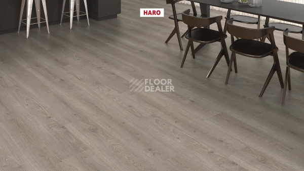 Ламинат Haro Tritty 200 Aqua 4V Дуб Флавия Серый 544760 фото 3 | FLOORDEALER