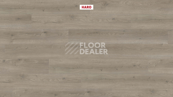 Ламинат Haro Tritty 200 Aqua 4V Дуб Флавия Серый 544760 фото 2 | FLOORDEALER
