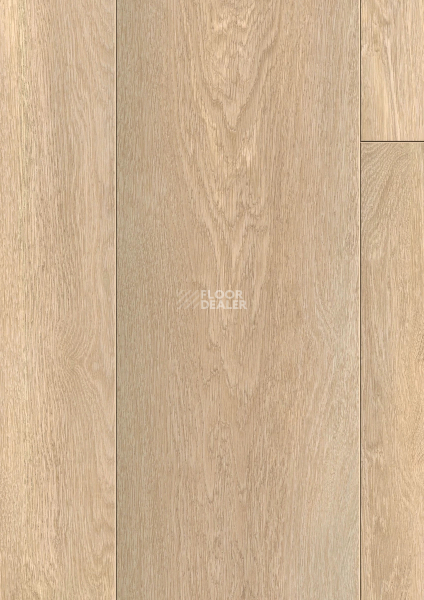 Ламинат Kronotex Exquisit Plus d81112 Дуб Абсолют натуральный фото 1 | FLOORDEALER