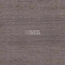 Линолеум Gerflor Taralay Initial Compact (wood) 0590 Renzo Steel фото 1 | FLOORDEALER