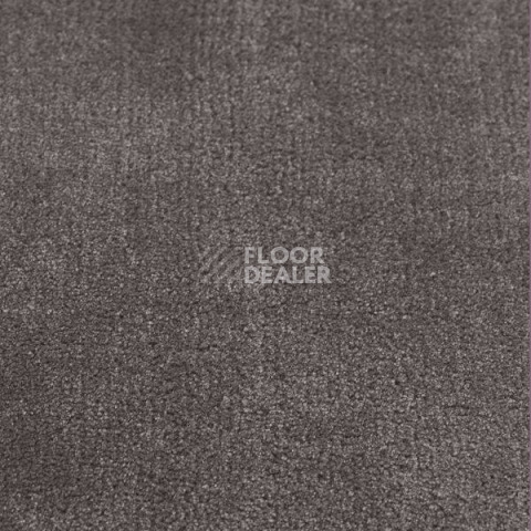 Ковролин Jacaranda Carpets Simla Pewter фото 1 | FLOORDEALER